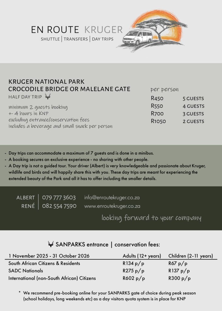 En Route Kruger Day Trips